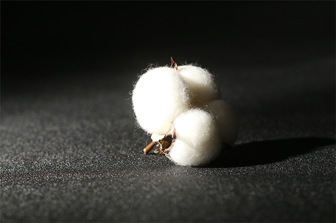 面料-來自13小時(shí)日曬的新疆